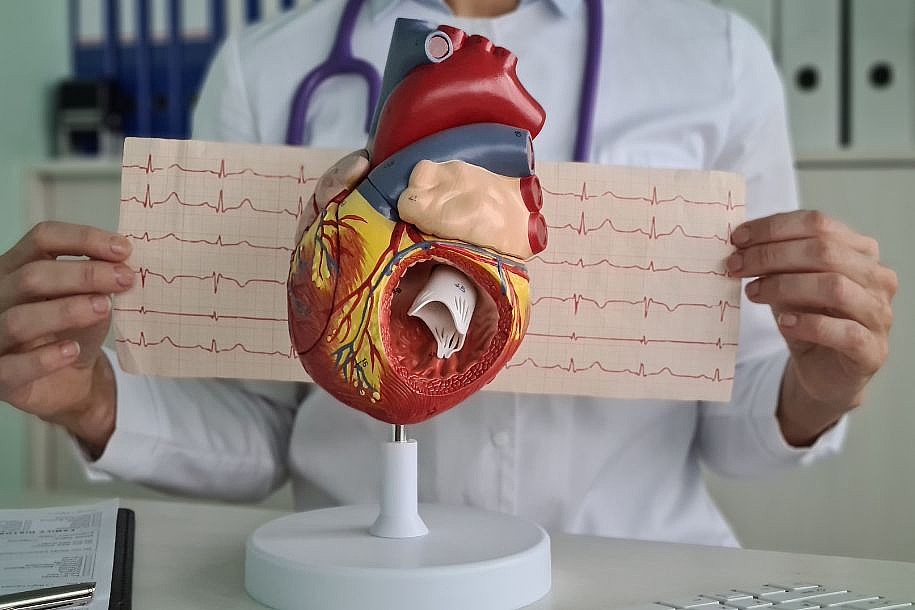 A saúde cardiovascular na terceira idade