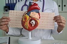 A saúde cardiovascular na terceira idade